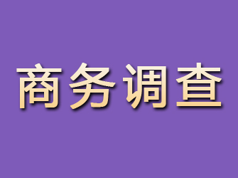 宁晋商务调查